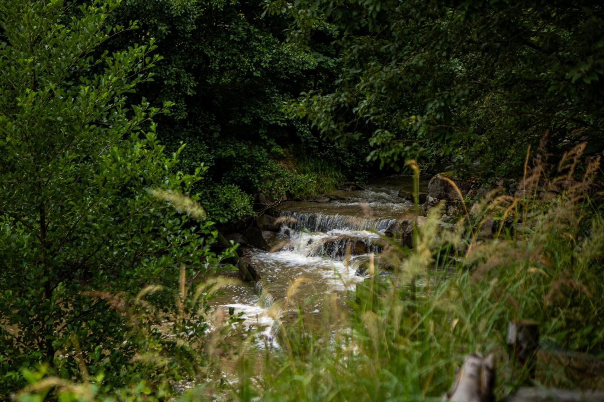 Domek Na Skalce Zabnica Exterior foto